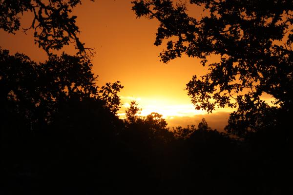 Sunset from Gillespie